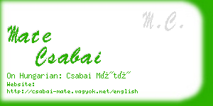 mate csabai business card